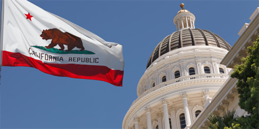 CA Flag and Capitol Dome Landing Page Photo