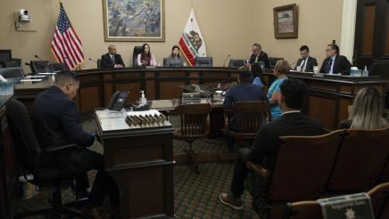 Assemblymember Nguyen Chairing the API Mental Health Committee